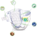  Pampers Premium Care